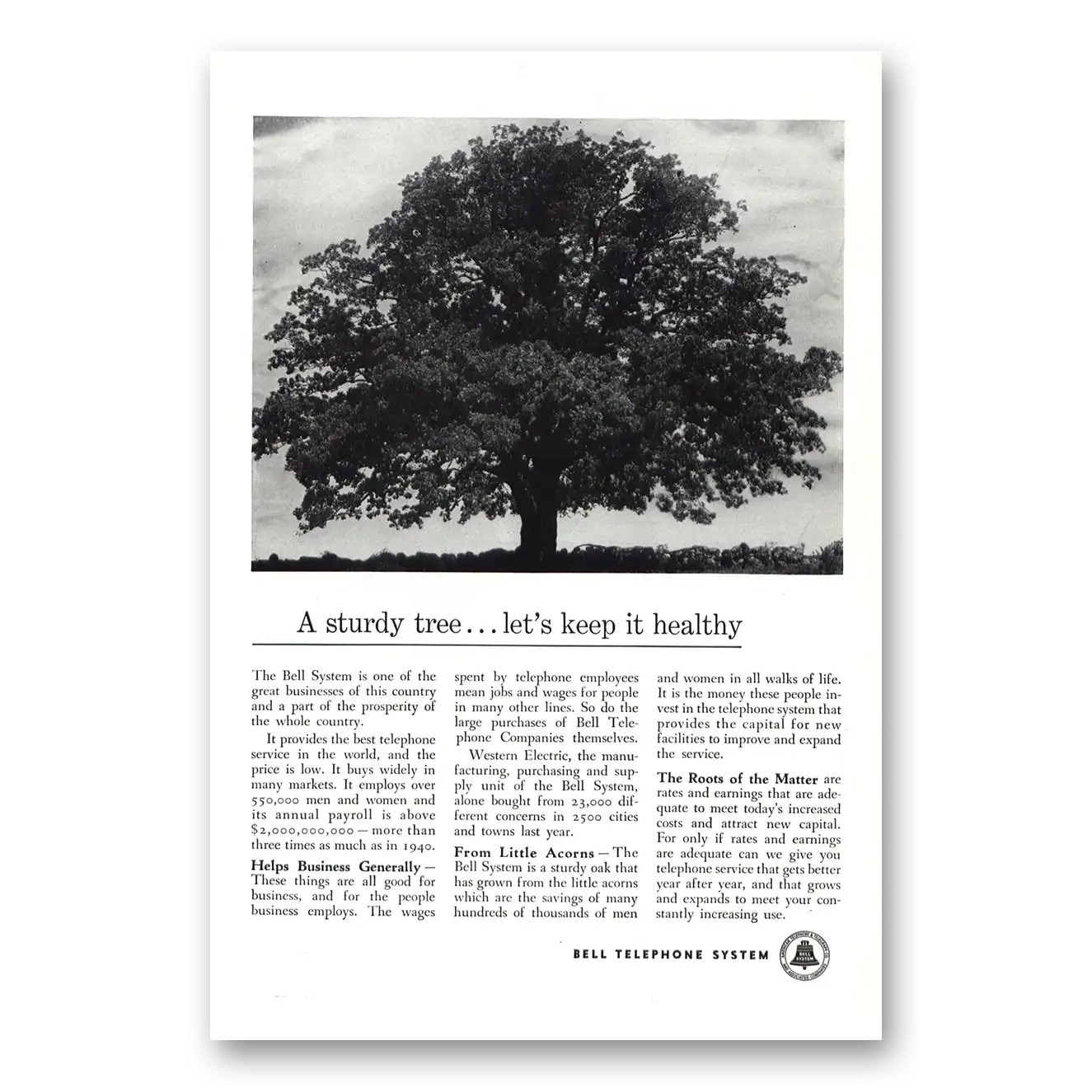 1950 Bell Telephone Sturdy Tree Vintage Magazine Print Ad