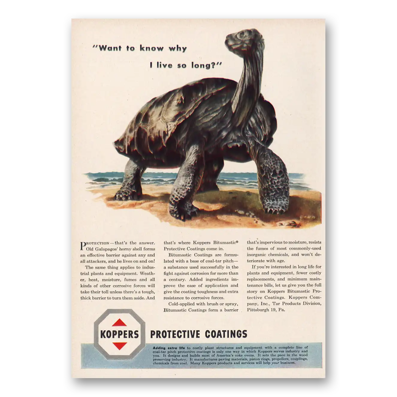 1950 Koppers Protective Coatings I Live So Long Old Galapagos Vintage Magazine Print Ad