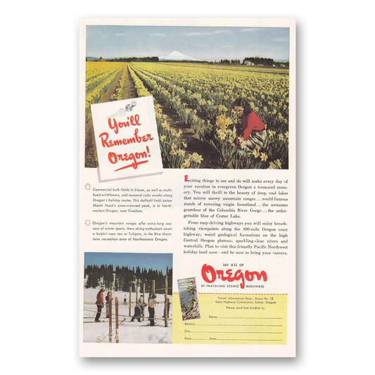 1950 Oregon Commercial Bulb Fields in Bloom Vintage Magazine Print Ad