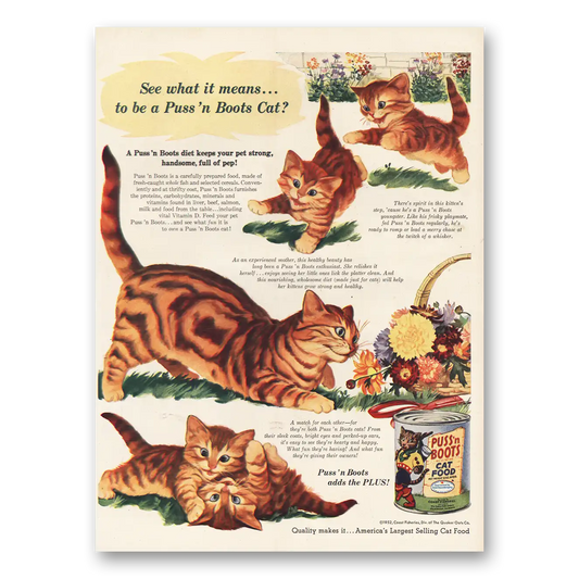 1952 Puss n Boots See What It Means Vintage Magazine Print Ad