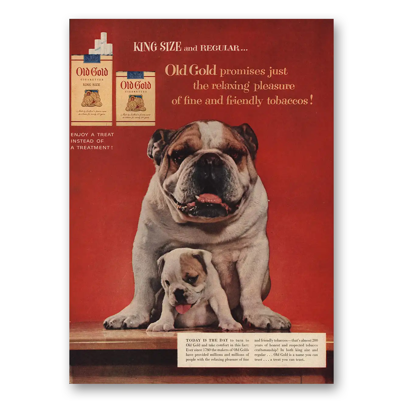 1954 Old Gold Cigarettes Bull Dogs Old Gold Promises Vintage Magazine Print Ad