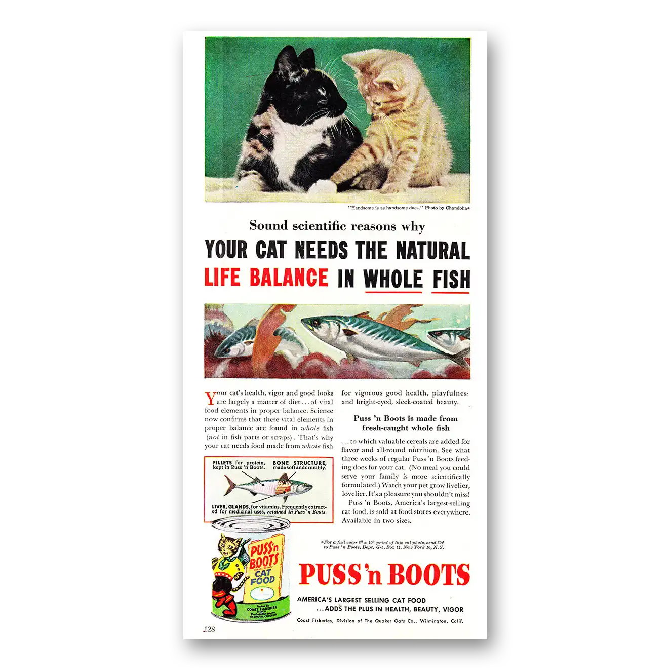 1954 Puss n Boots Your Cat Needs the Natural Life Balance Vintage Magazine Print Ad