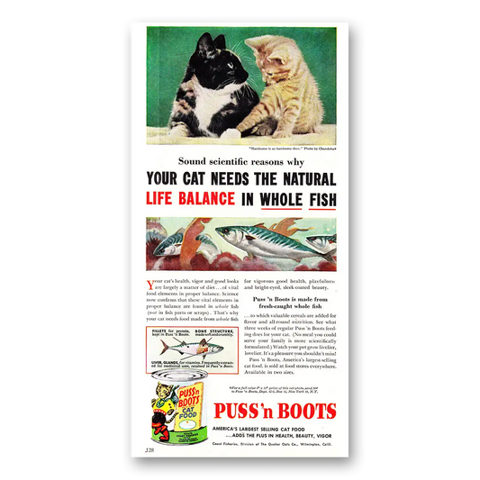 1954 Puss n Boots Your Cat Needs the Natural Life Balance Vintage Magazine Print Ad