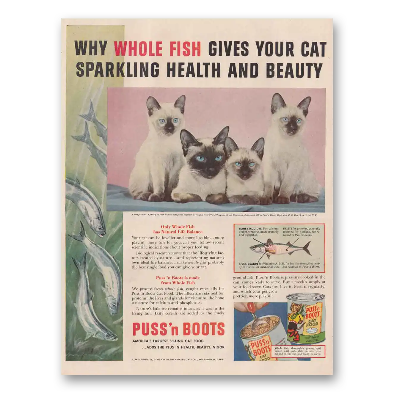 1954 Puss n Boots Cat Food Whole Fish Gives Your Cat Vintage Magazine Print Ad