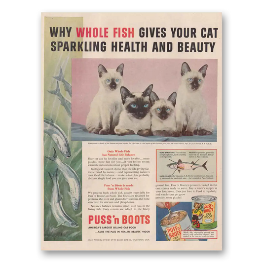 1954 Puss n Boots Cat Food Whole Fish Gives Your Cat Vintage Magazine Print Ad