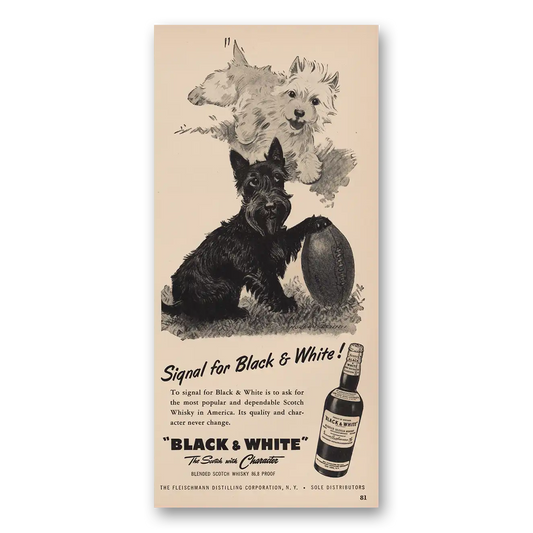 1955 Black and White Scotch Signal Football Vintage Magazine Print Ad