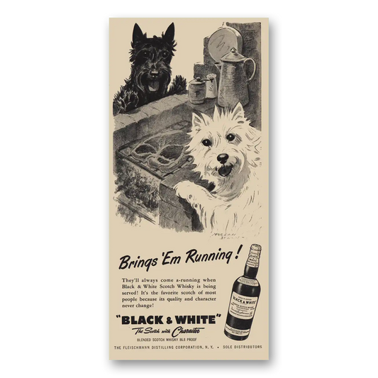 1955 Black and White Scotch Brings Em Running Vintage Magazine Print Ad
