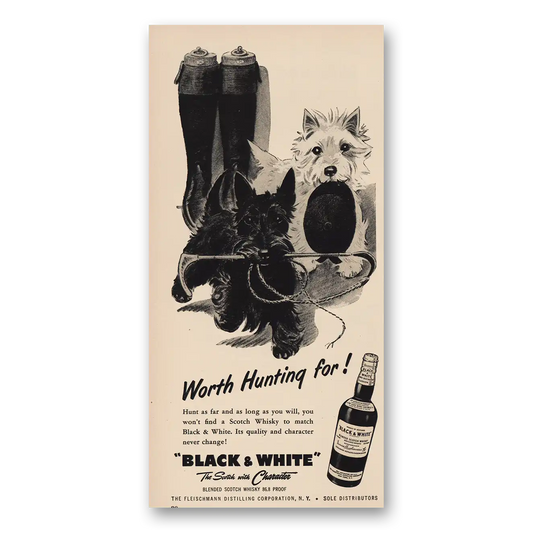 1955 Black and White Scotch Worth Hunting For Vintage Magazine Print Ad