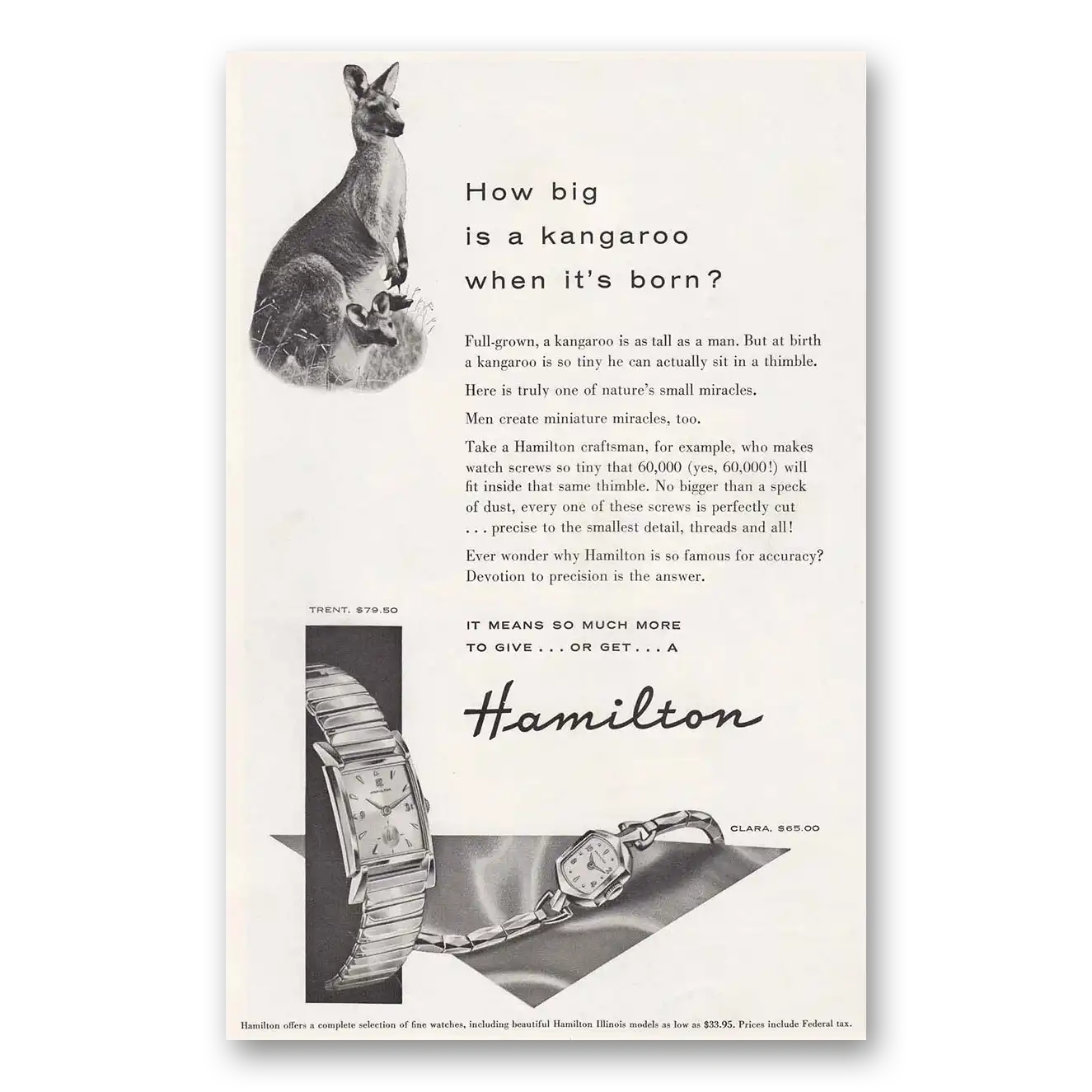 1955 Hamilton Watch How Big Is a Kangaroo When Its Born Vintage Magazine Print Ad