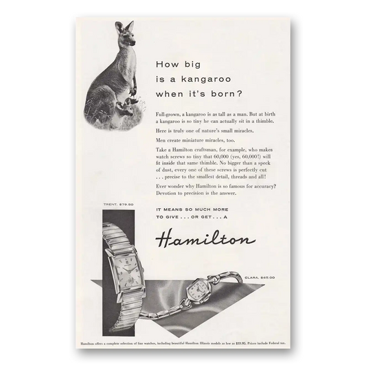 1955 Hamilton Watch How Big Is a Kangaroo When Its Born Vintage Magazine Print Ad