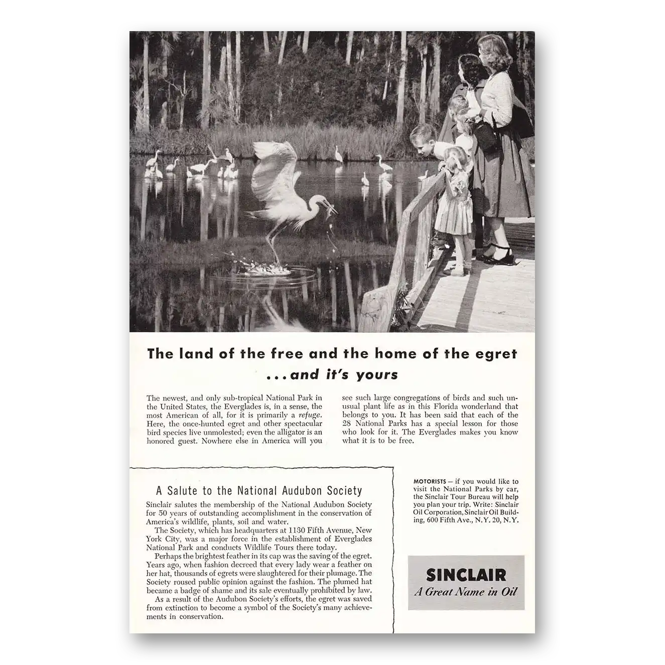 1955 Sinclair Land of the Free and the Home of the Egret Vintage Magazine Print Ad