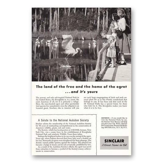 1955 Sinclair Land of the Free and the Home of the Egret Vintage Magazine Print Ad