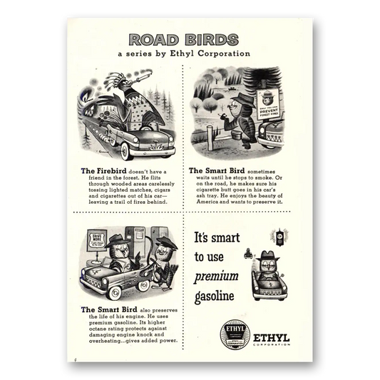 1956 Ethyl Gasoline Road Birds Vintage Magazine Print Ad