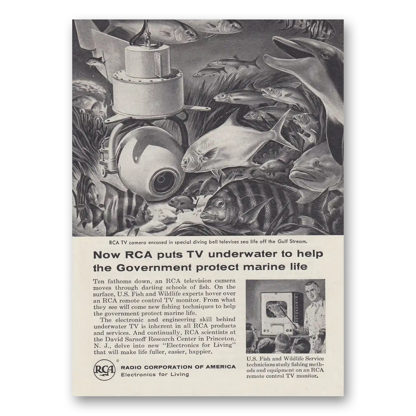 1956 RCA Television Puts TV Underwater Help the Government Protect Marine Life Vintage Magazine Print Ad