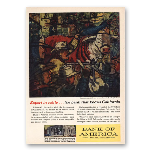1957 Bank of America Expert In Cattle Vintage Magazine Print Ad