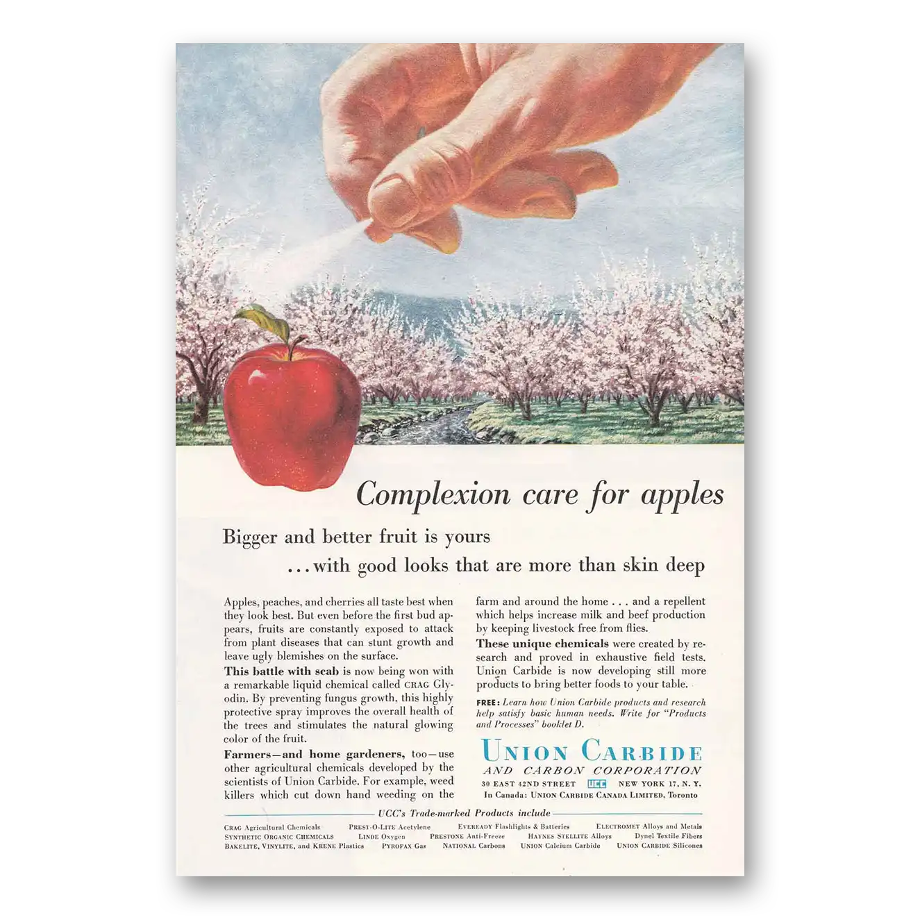 1957 Union Carbide Complexion Care for Apples Vintage Magazine Print Ad