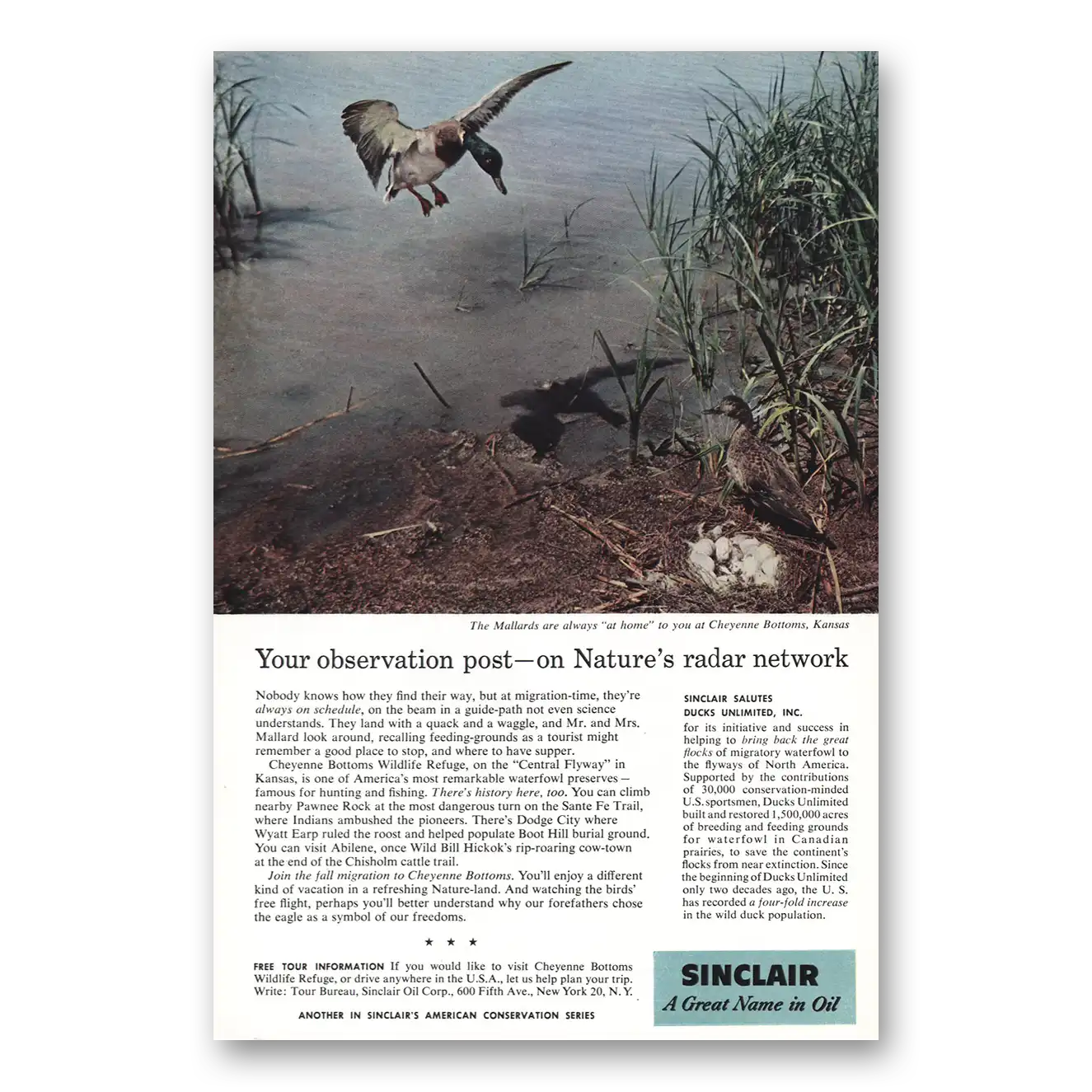 1958 Sinclair Your Observation Post Mallards Vintage Magazine Print Ad