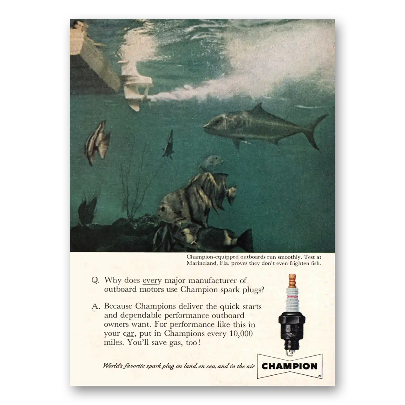 1959 Champion Spark Plugs Marineland Florida Vintage Magazine Print Ad