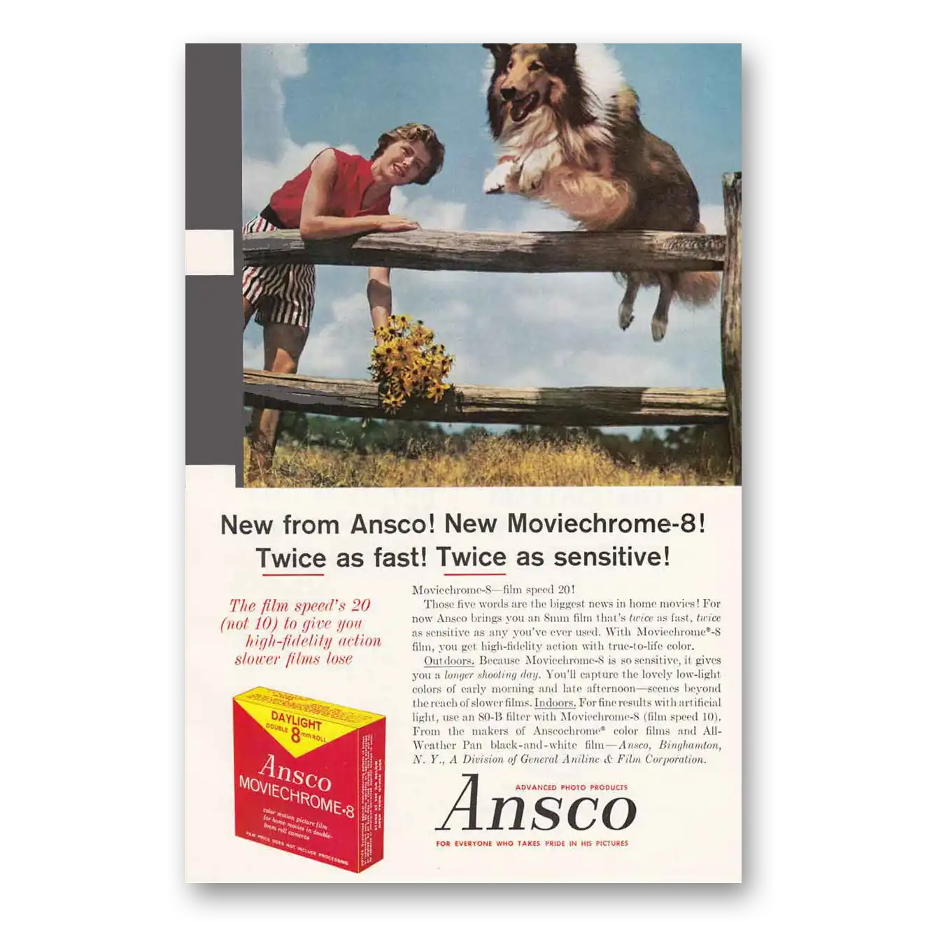 1960 Ansco Film Moviechrome 8 Collie Vintage Magazine Print Ad