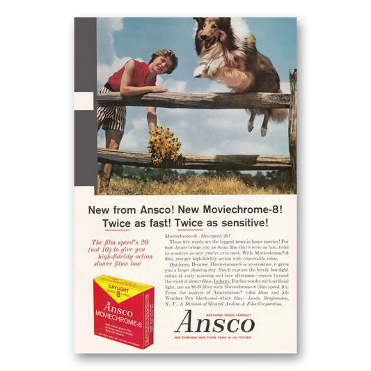 1960 Ansco Film Moviechrome 8 Collie Vintage Magazine Print Ad