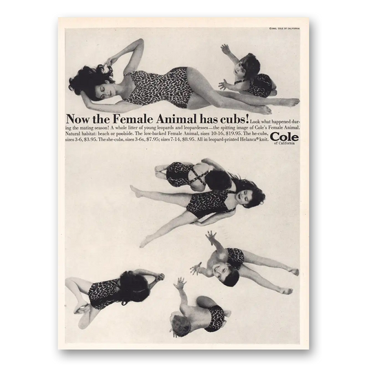 1960 Cole of California Female Animal Has Cubs Vintage Magazine Print Ad