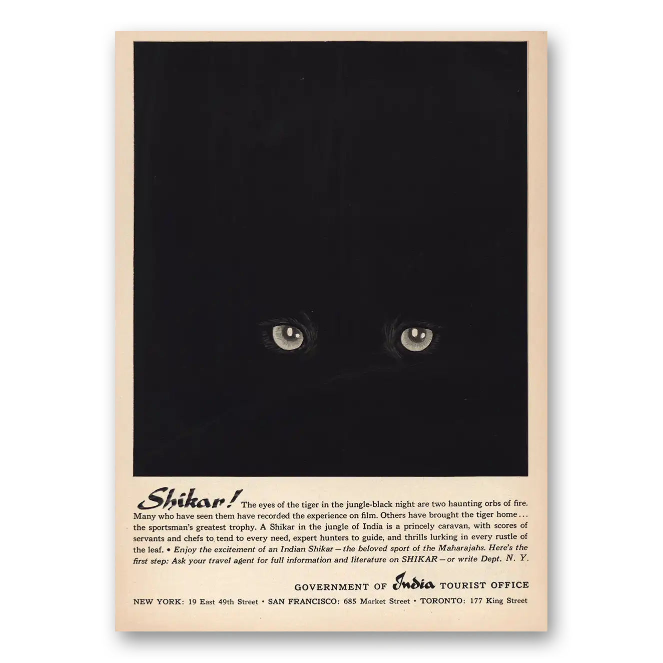 1960 India Shikar The Eyes of the Tiger Vintage Magazine Print Ad