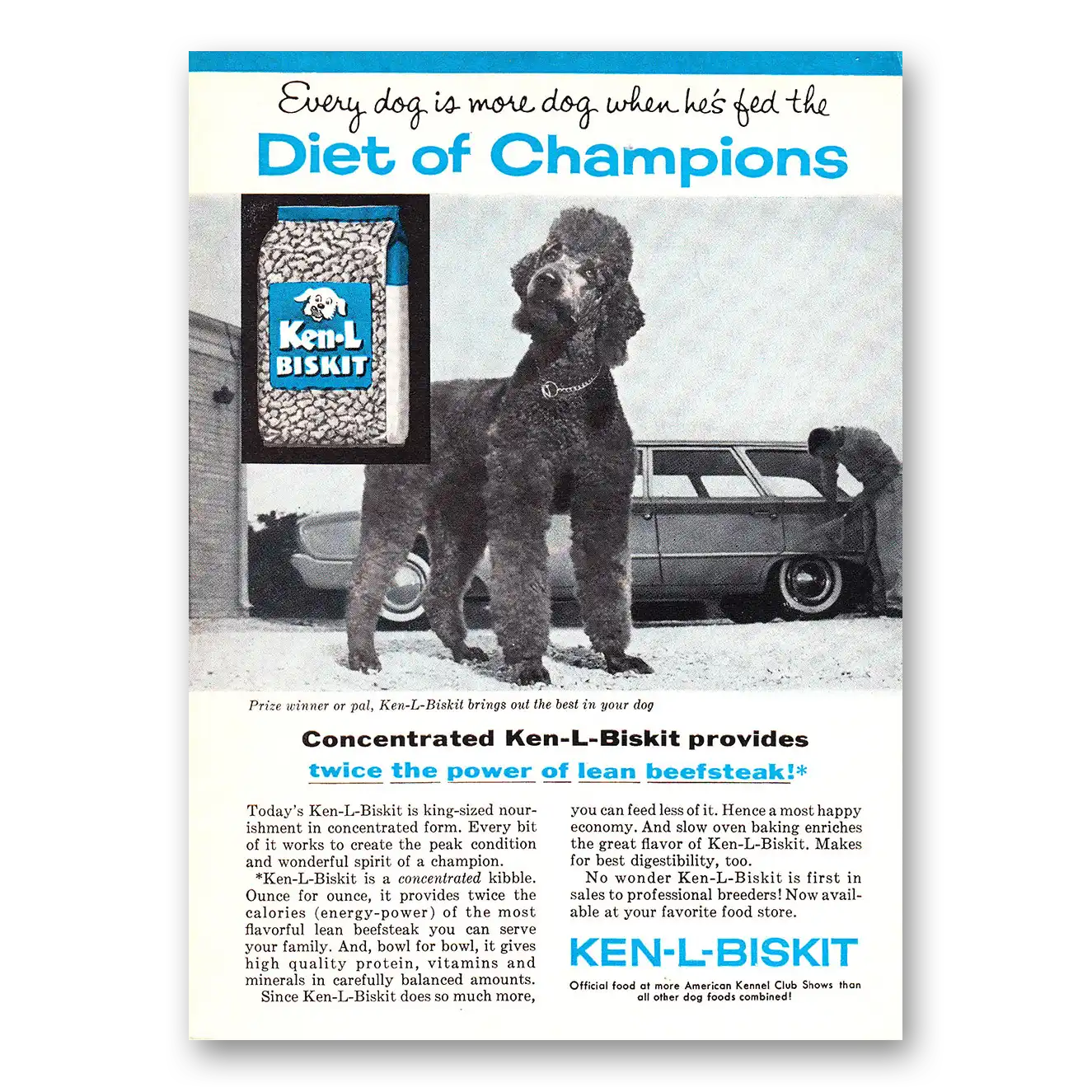 1960 Ken-L-Ration Dog Food Biskit Diet of Champions Poodle Vintage Magazine Print Ad