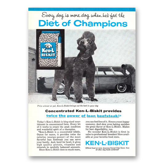 1960 Ken-L-Ration Dog Food Biskit Diet of Champions Poodle Vintage Magazine Print Ad