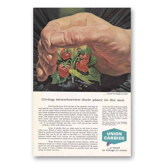 1960 Union Carbide Giving Strawberries Their Place in the Sun Vintage Magazine Print Ad