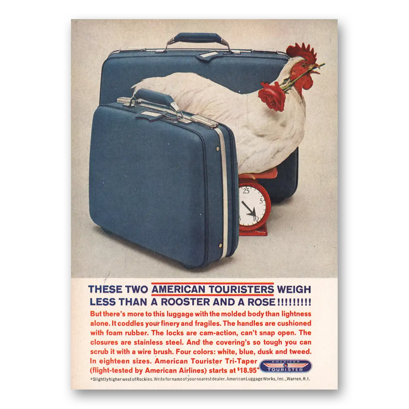 1961 American Tourister Luggage Rooster and a Rose Vintage Magazine Print Ad