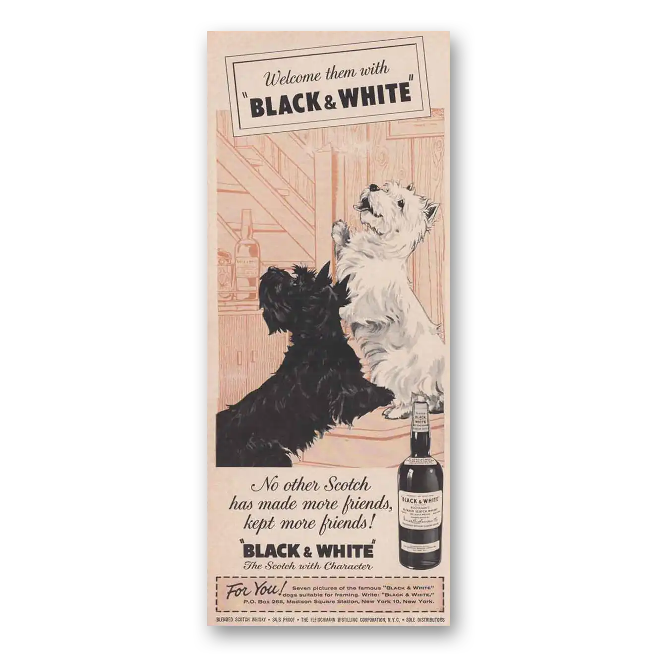 1961 Black and White Scotch Scotties Welcome Them Vintage Magazine Print Ad