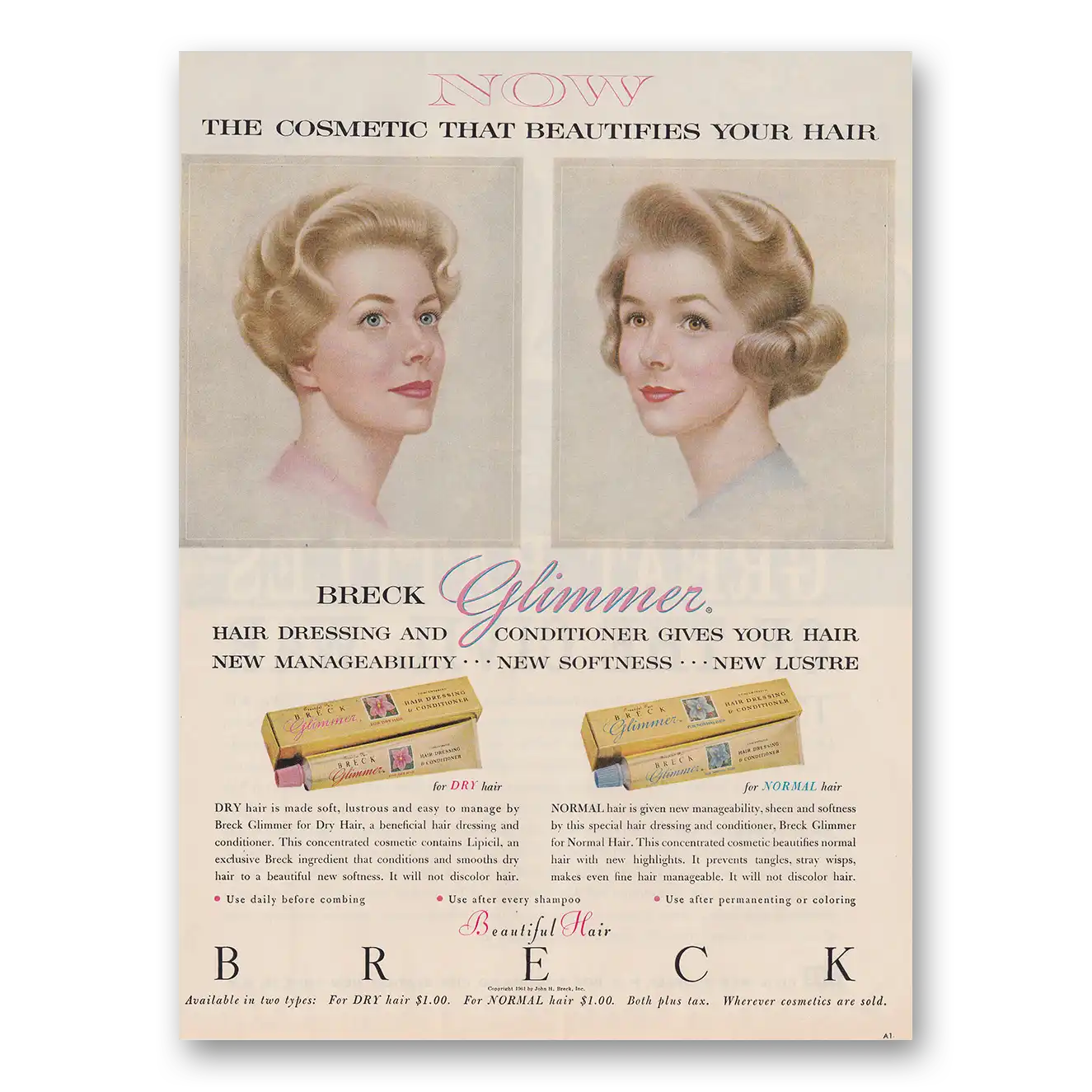 1961 Breck Shampoo Cosmetic That Beautifies Your Hair Vintage Magazine Print Ad