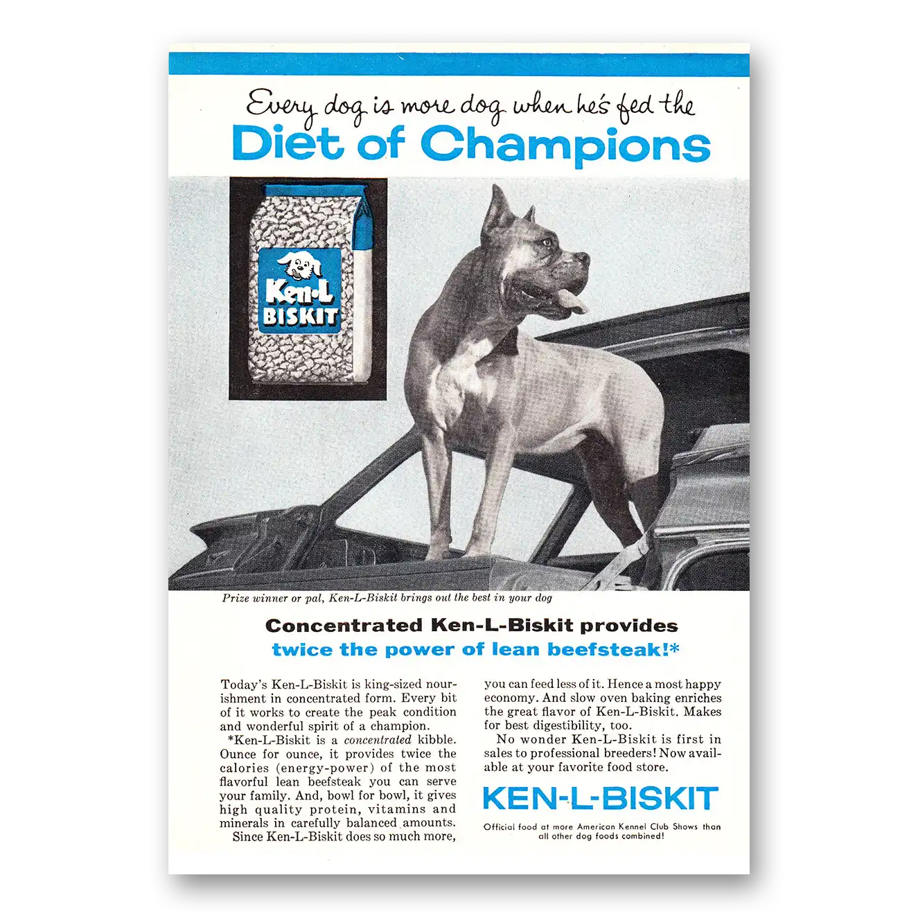 1961 Ken-L-Ration Dog Food Biskit Dog Food Diet of Champions Vintage Magazine Print Ad