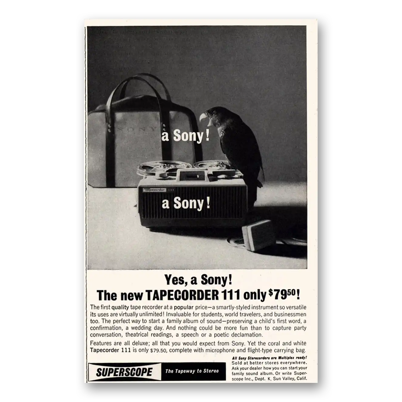 1961 Sony Superscope Tapecorder Parrot It’s a Sony Vintage Magazine Print Ad