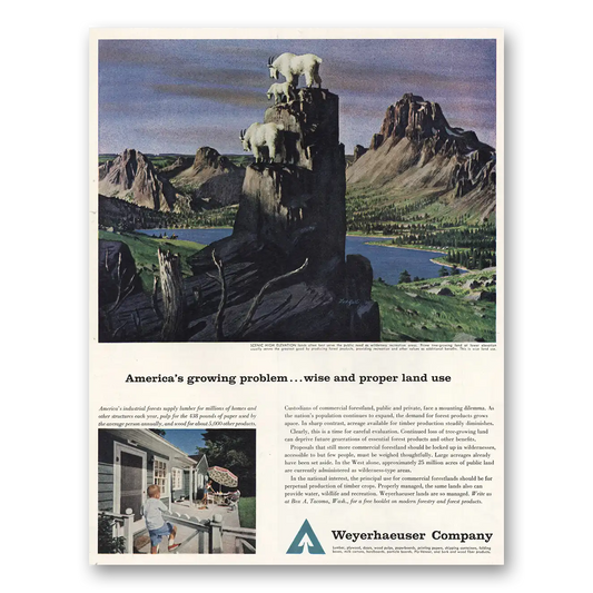 1961 Weyerhaeuser Scenic High Elevation Vintage Magazine Print Ad