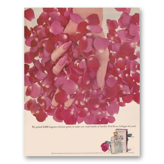 1961 Red Roses Cologne We Picked 3000 Fragrant Red Rose Petals Vintage Magazine Print Ad