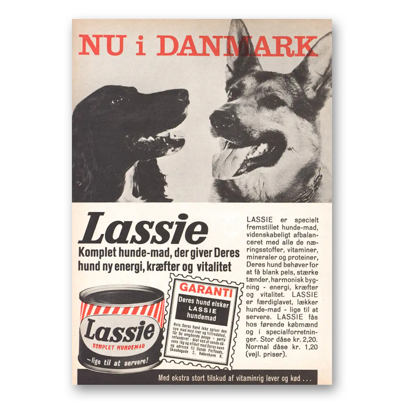 1962 Lassie Dog Food Nu I Dannmark Dutch Vintage Magazine Print Ad