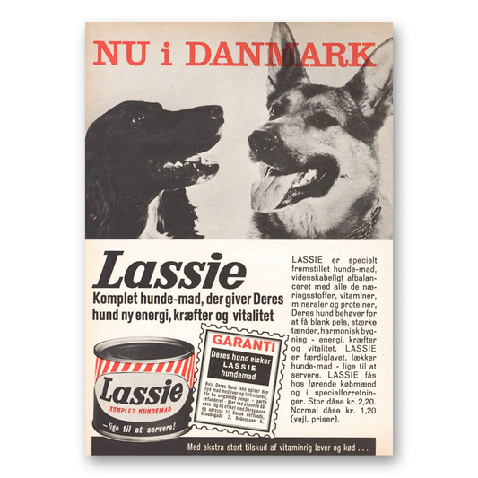 1962 Lassie Dog Food Nu I Dannmark Dutch Vintage Magazine Print Ad