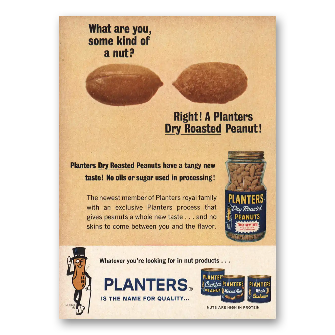 1962 Planters Peanuts What Are You Some Kind of Nut Vintage Magazine Print Ad