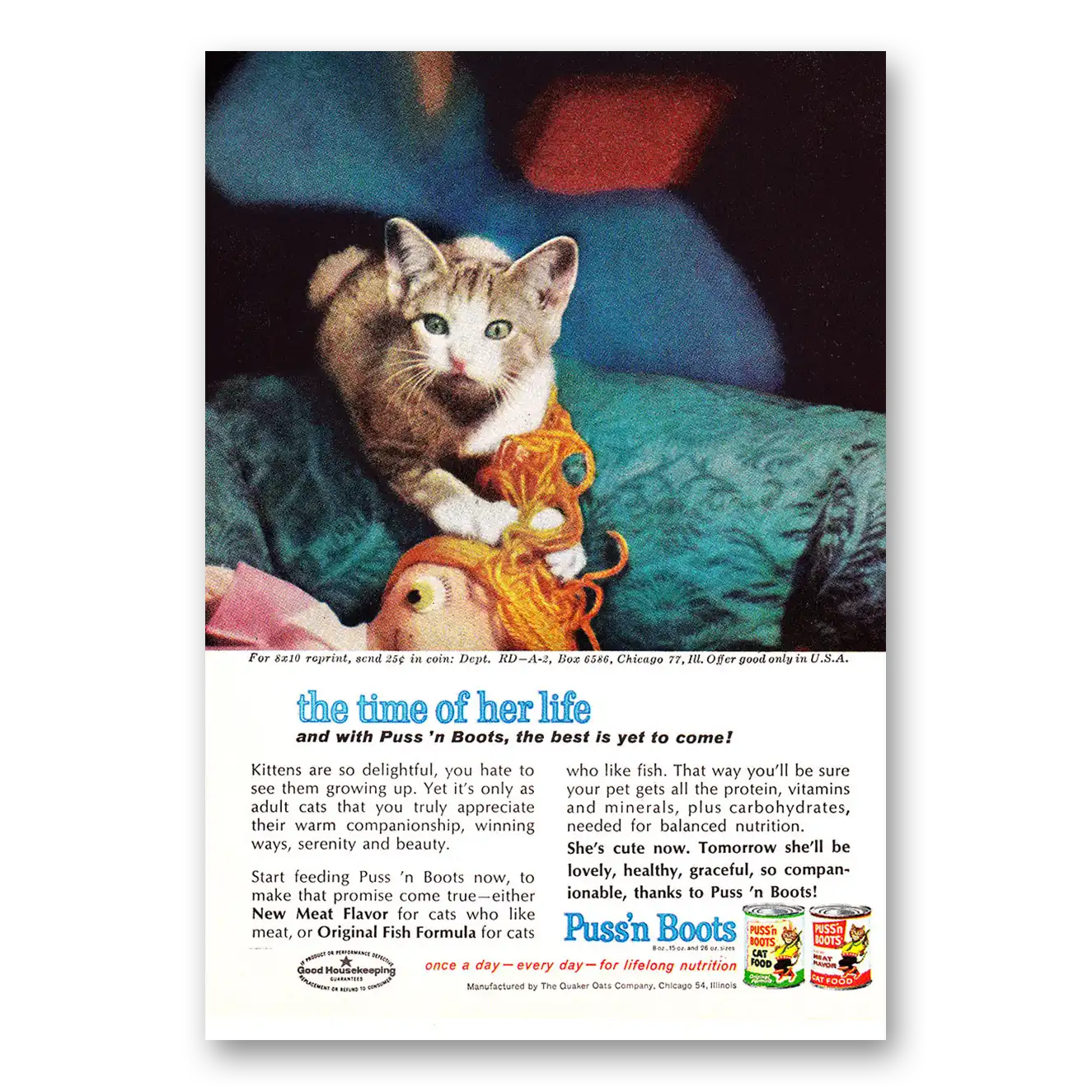 1962 Puss n Boots Time of Her Life Vintage Magazine Print Ad