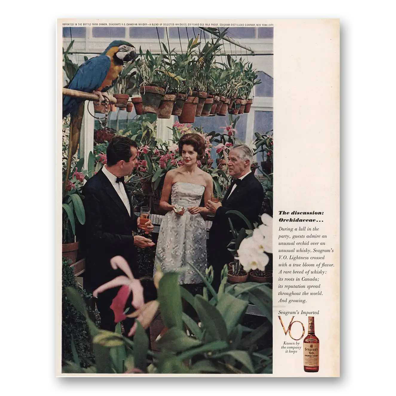 1962 Seagrams VO Whisky Discussion Orchidaceae Vintage Magazine Print Ad