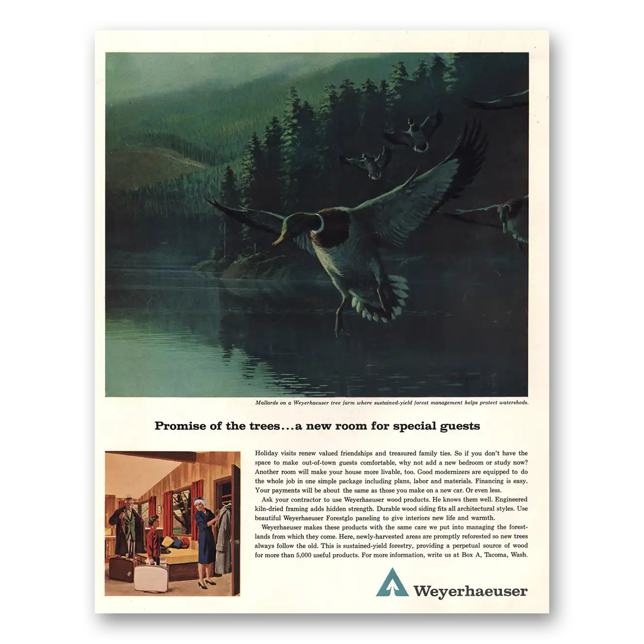 1963 Weyerhaeuser Promise of the Trees Vintage Magazine Print Ad