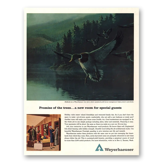 1963 Weyerhaeuser Promise of the Trees Vintage Magazine Print Ad