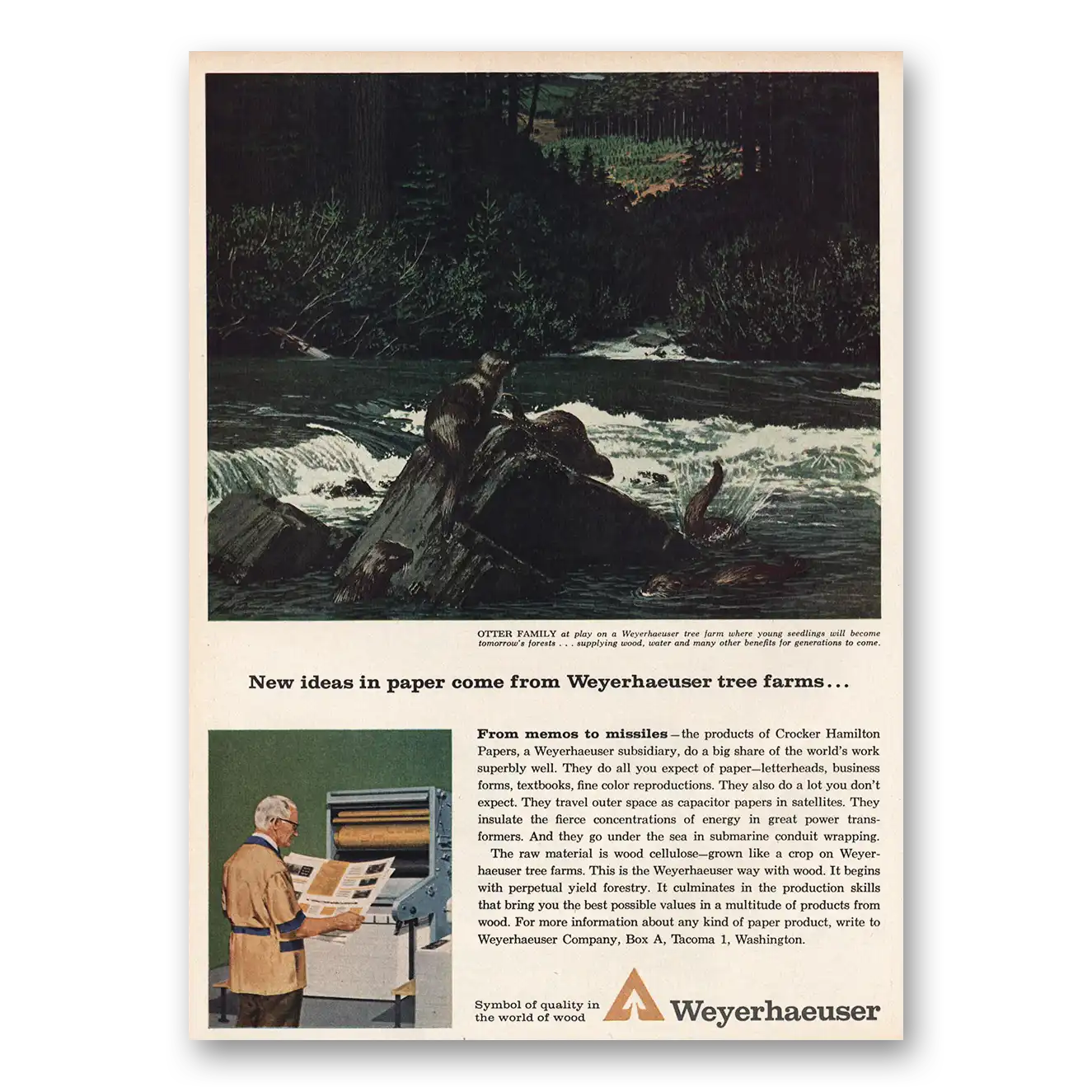 1963 Weyerhaeuser Otter Family at Play Vintage Magazine Print Ad