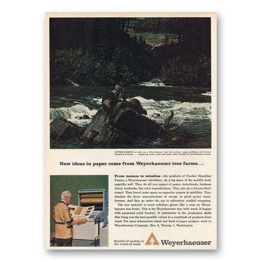 1963 Weyerhaeuser Otter Family at Play Vintage Magazine Print Ad