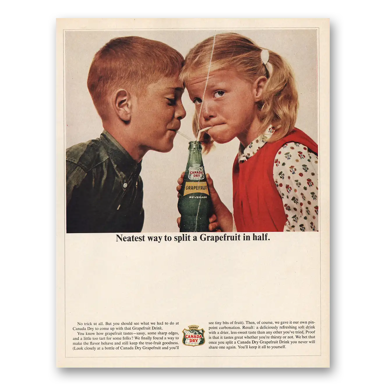 1964 Canada Dry Split a Grapefruit In Half Vintage Magazine Print Ad