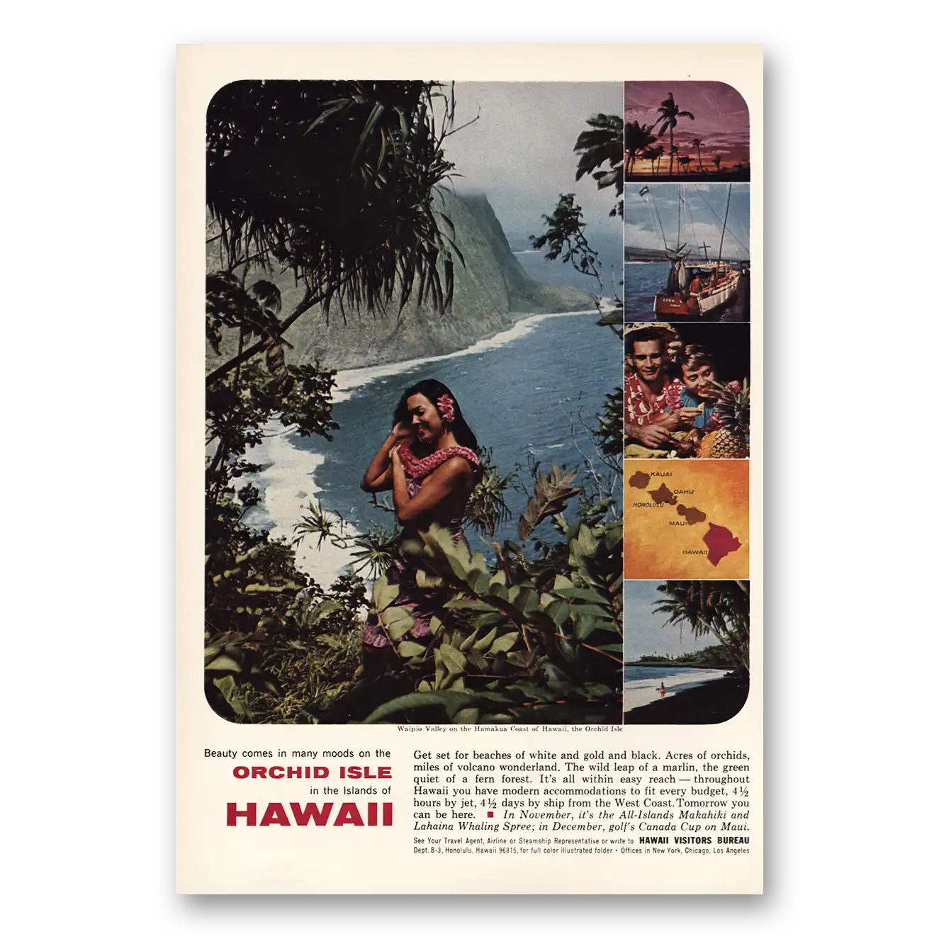 1964 Hawaii Orchid Isle Vintage Magazine Print Ad