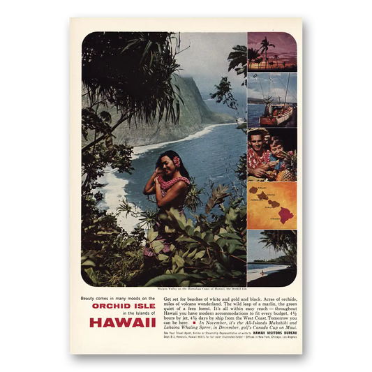 1964 Hawaii Orchid Isle Vintage Magazine Print Ad