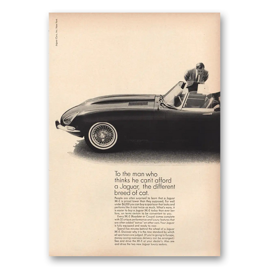 1964 Jaguar Man Who Thinks He Cant Afford Vintage Magazine Print Ad