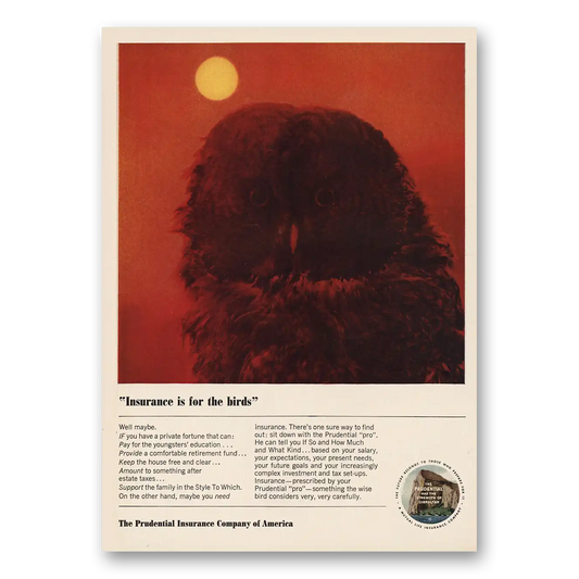 1964 Prudential Insurance Insurance Is for the Birds Vintage Magazine Print Ad